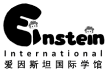 Einstein International – Academic Guidance, Tutoring & Enrichment Programmes