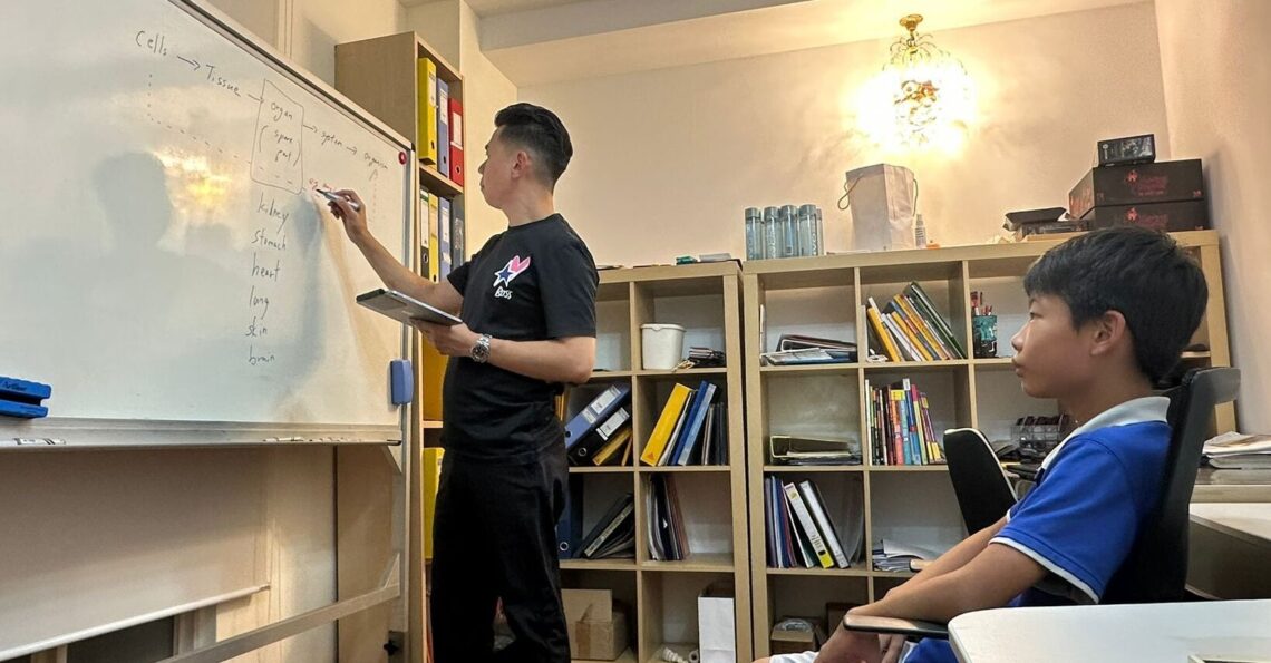 A tutor at Einstein International teaches biology concepts on a whiteboard, while a student attentively listens during a one-on-one academic session.